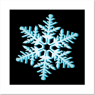 Snowflake Posters and Art